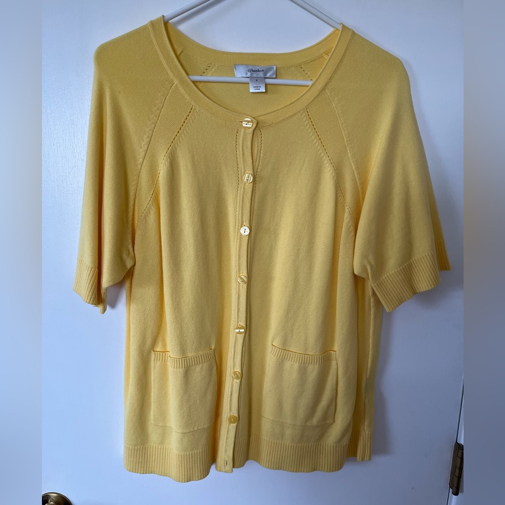 Spring Sweater from Christopher & Banks. Size X
